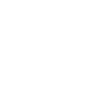 Visionary Power Solutions wolf logo
